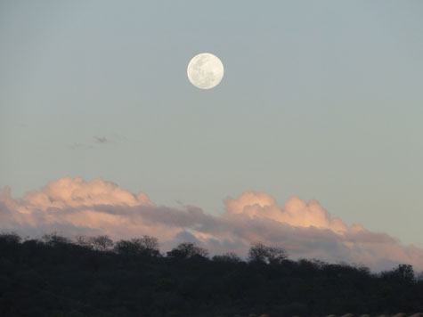 Brumadenses contemplam a superlua