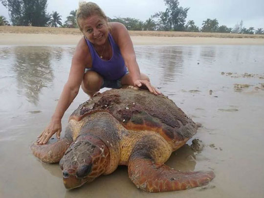 Tartaruga de 120 kg é achada por moradores em praia baiana