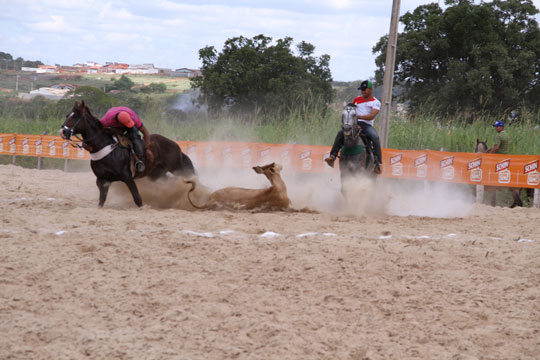 Duelo na arena São Vicente no II Bolão da Vaquejada em Brumado