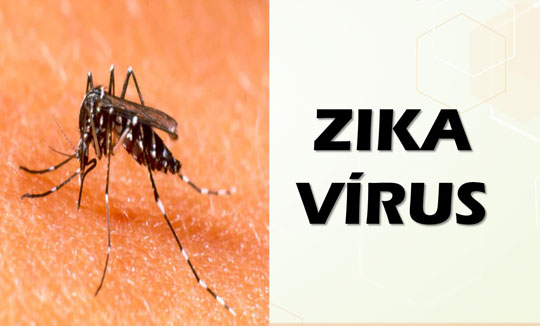 ONU defende direito ao aborto em países atingidos pelo Zika