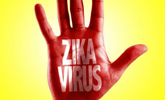 Fiocruz detecta vírus zika com potencial de infecção em saliva e urina
