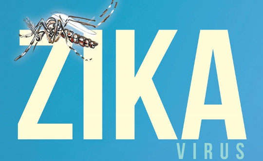 Vírus da zika chegou ao Brasil na Copa das Confederações de 2013, diz estudo