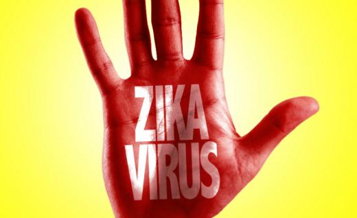 OMS diz que vacinas podem chegar tarde demais para combater surto de zika